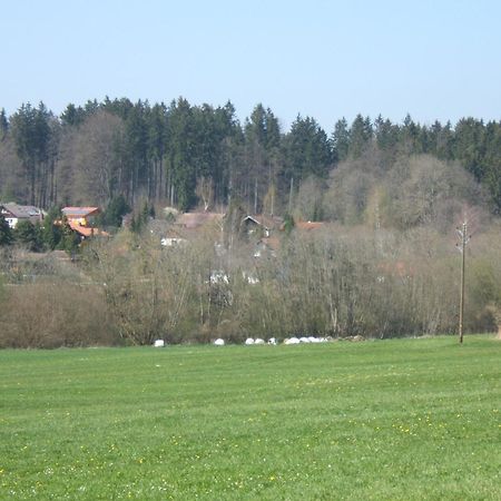 Ferienwohnung Schwahn Kleinschonach Exterior photo